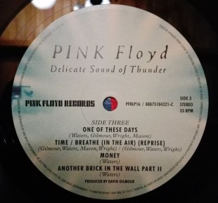 Pink Floyd - Delicate Sound Of Thunder (2LP)