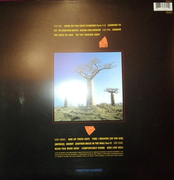 Pink Floyd - Delicate Sound Of Thunder (2LP)