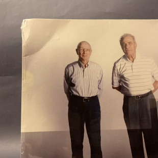 УЦЕНКА! Виниловая пластинка Twenty One Pilots - Vessel (Color) (LP)