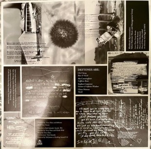 Deftones - Adrenaline (LP)