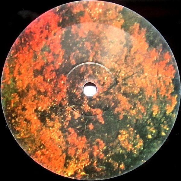 Tame Impala - InnerSpeaker (2 LP)