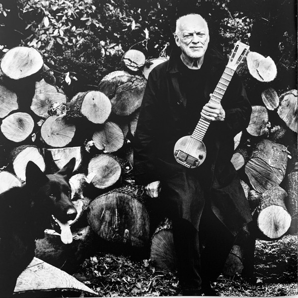 David Gilmour - Luck and Strange (color) (LP)
