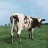 Pink Floyd - Atom Heart Mother (LP)