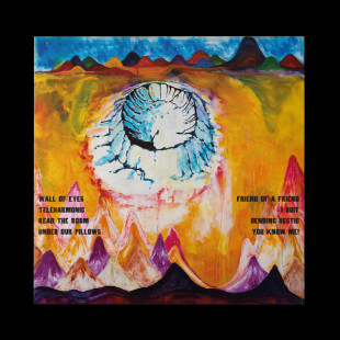 Виниловая пластинка The Smile - Wall Of Eyes (LP)