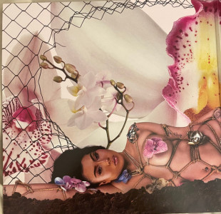 Kali Uchis – Orquideas (LP)