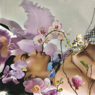 Kali Uchis – Orquideas (LP)
