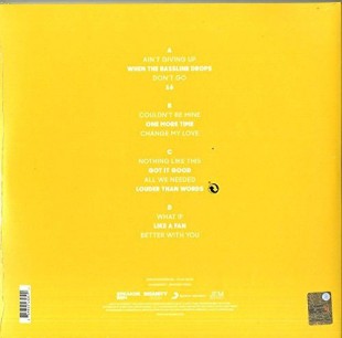 Craig David - Following My Intuition (2LP+cd)