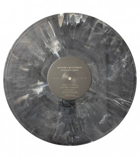 Kendrick Lamar - To Pimp a Butterfly (Limited Edit) (10th Anniversary) (2LP)