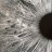 Peter Gabriel - I/O (Dark-Side Mixes) (2LP)