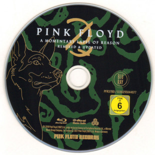 Pink Floyd - A Momentary Lapse Of Reason (Remixed & Updated) (Deluxe Edit) (Box set) (CD+Blu-ray)