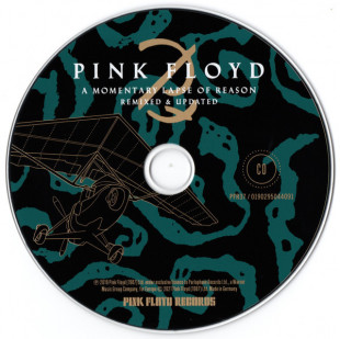 Pink Floyd - A Momentary Lapse Of Reason (Remixed & Updated) (Deluxe Edit) (Box set) (CD+Blu-ray)