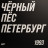 Виниловая пластинка ДДТ - Чёрный пёс Петербург (2LP)
