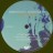 Robert Plant - Alison Krauss Raise The Roof (Limited Edit) (color) (2LP)