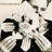 Franz Ferdinand - The Human Fear (alternative artwork) (LP)