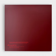 Виниловая пластинка ДДТ - Рождённый в СССР (1LP + 10inch)