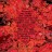 Ed Sheeran - = (Equals) (color) (LP)