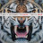 Thirty Seconds To Mars - This Is War (2LP+CD)