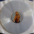 PinkPantheress - Fancy Some More? (coloured) (2LP)