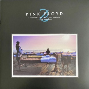 Pink Floyd – A Momentary Lapse Of Reason (Remixed & Updated) (2LP)