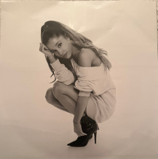 Виниловая пластинка Ariana Grande - My Everything (Limited Edit) (Picture Disc) (10th Anniversary Edit) (2LP)