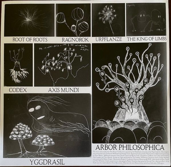 Radiohead - The King Of Limbs (LP)