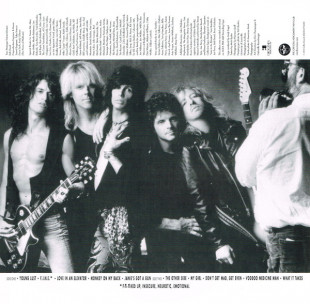 Aerosmith - Pump (LP)