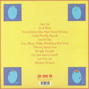 Bombay Bicycle Club – Everything Else Has Gone Wrong (2LP)