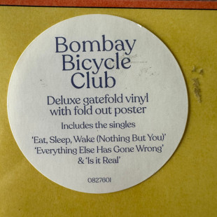 Bombay Bicycle Club – Everything Else Has Gone Wrong (2LP)