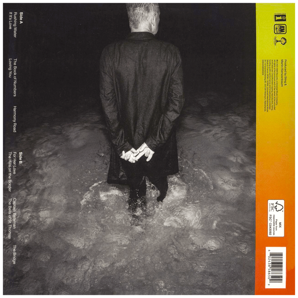 Sting - The Bridge (LP)
