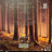 Zucchero - Discover Ii (Limited Edit) (Numbered)(color) (Box-set) (3LP+cd)