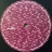 U2 - Zooropa (2LP)