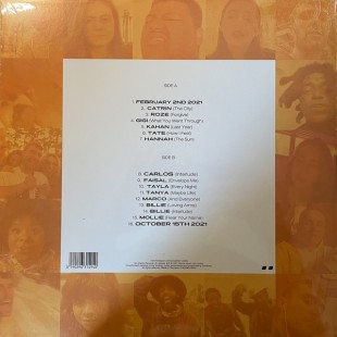 Fred Again.. - Actual Life 2 (coloured) (LP)