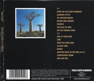 Pink Floyd - Delicate Sound Of Thunder (2CD)