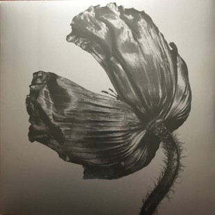 Pet Shop Boys - Release (LP)
