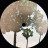 Lana Del Rey - Honeymoon (2LP)