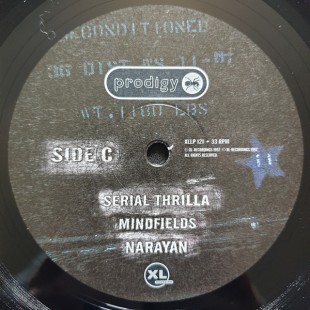 Виниловая пластинка The Prodigy - The Fat Of The Land (2LP)