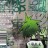 Gorillaz - Gorillaz (CD)