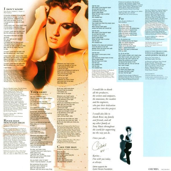 Celine Dion - Falling Into You (2 LP)