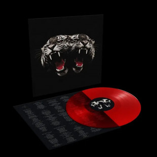 Виниловая пластинка Royal Blood - Dead Company (Red Transparent) (LP)