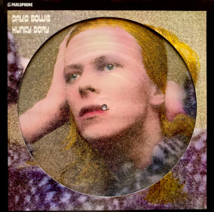 Виниловая пластинка David Bowie - Hunky Dory (Limited Edit) (Picture Disc) (50th Anniversary) (LP)