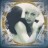 P!nk - I'm Not Dead (2LP)