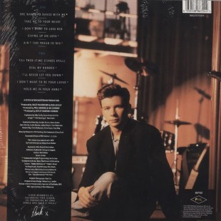 Rick Astley - Hold Me In Your Arms (color) (LP)