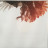 Snow Patrol - Fallen Empires (2LP)