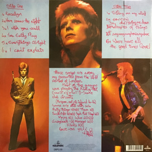 Виниловая пластинка David Bowie - Pinups (50th Anniversary) (LP)