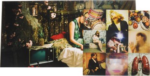 Florence + The Machine - Lungs (LP)