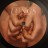 Florence + The Machine - Lungs (LP)
