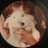Florence + The Machine - Lungs (LP)