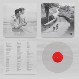 Виниловая пластинка Дельфин - Прощай оружие (color) (LP)