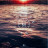 Linkin Park - One More Light (LP)