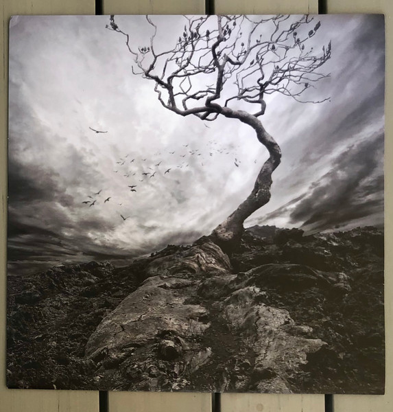 Lisa Gerrard & Jules Maxwell - Burn (color) (LP)